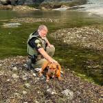 Darrell Kirk photo.
Sgt. Bryce Peterson and Levi the dog.